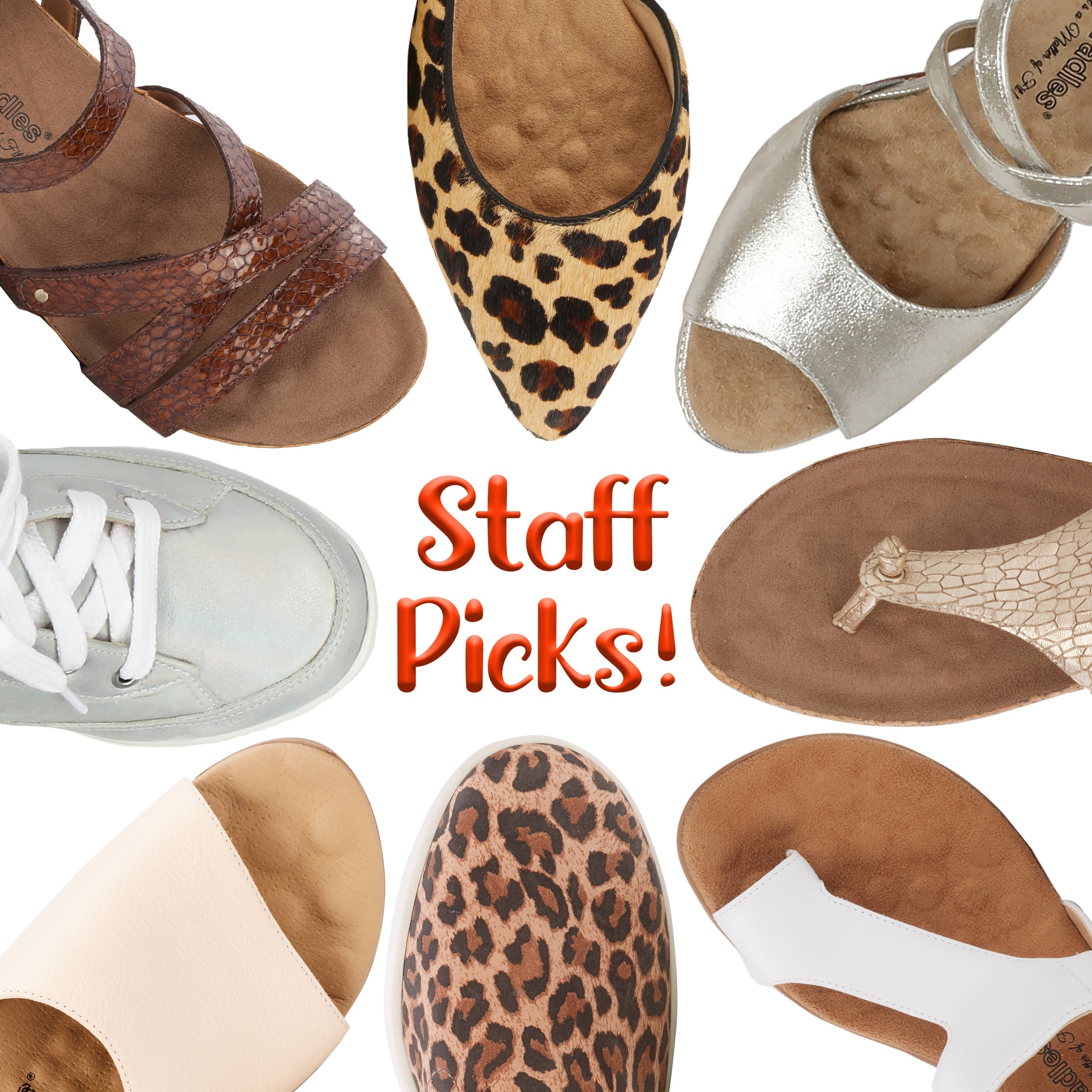 Summer '22 Staff Picks